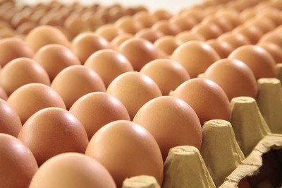 南充鸡蛋检测价格,鸡蛋检测机构,鸡蛋检测项目,鸡蛋常规检测